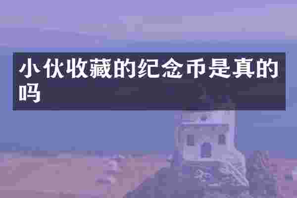 小伙收藏的纪念币是真的吗