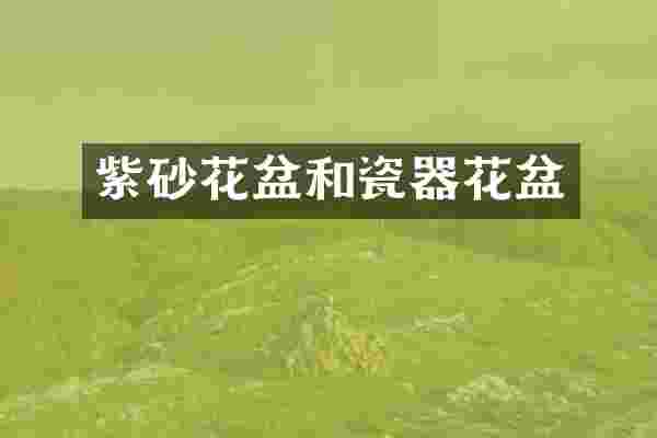 紫砂花盆和瓷器花盆