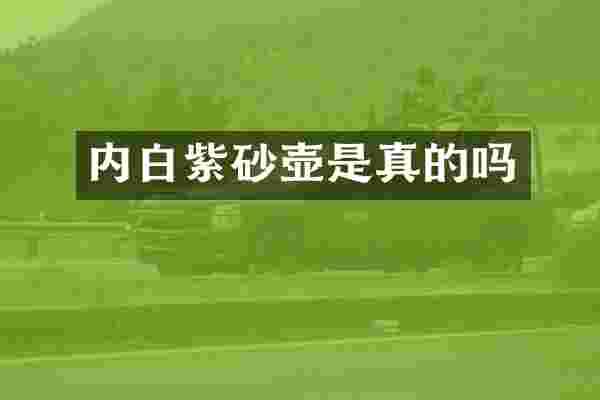 内白紫砂壶是真的吗