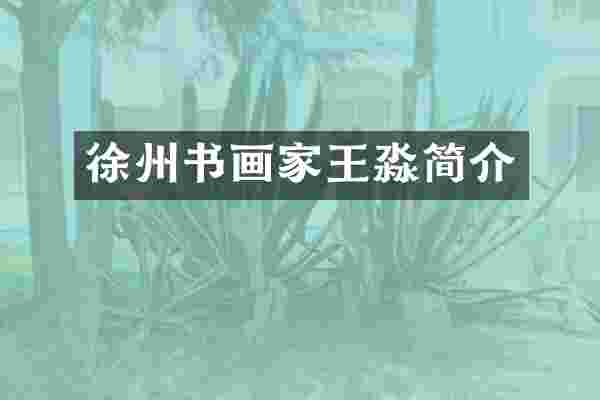 徐州书画家王淼简介