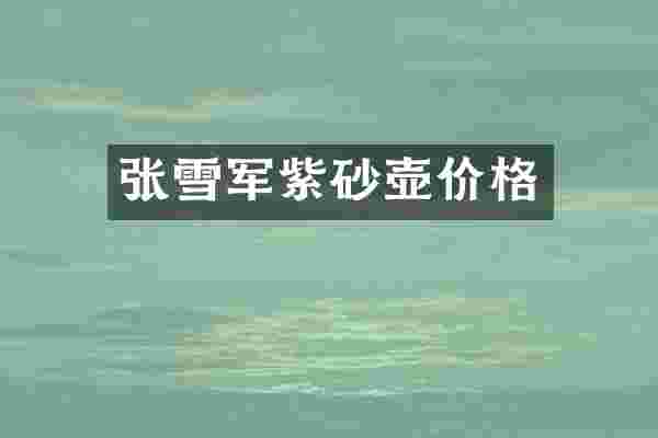 张雪军紫砂壶价格