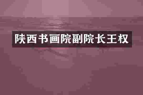 陕西书画院副院长王权