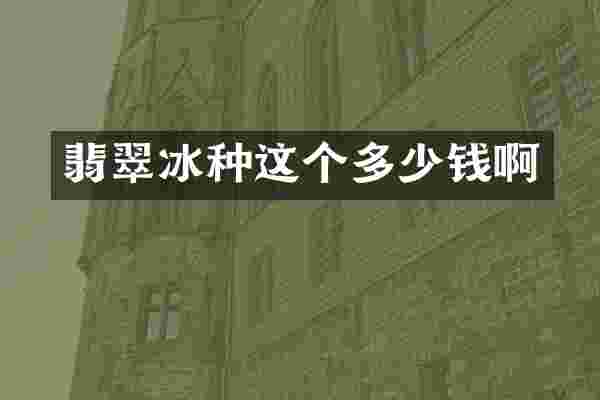 翡翠冰种这个多少钱啊
