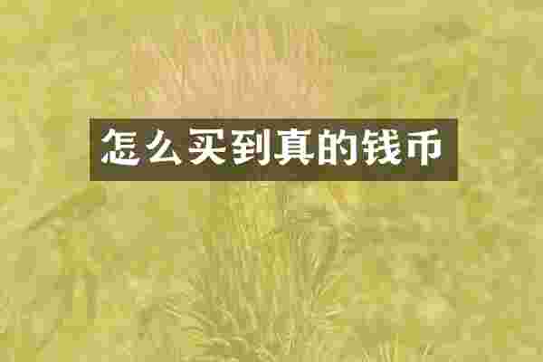 怎么买到真的钱币