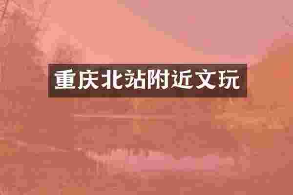 重庆北站附近文玩