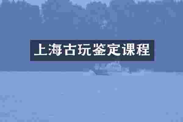上海古玩鉴定课程