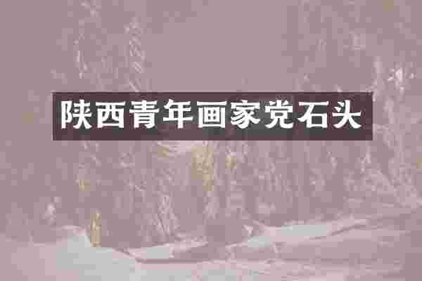 陕西青年画家党石头