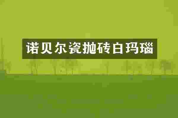 诺贝尔瓷抛砖白玛瑙