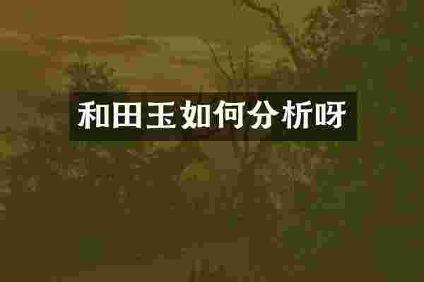 和田玉如何分析呀