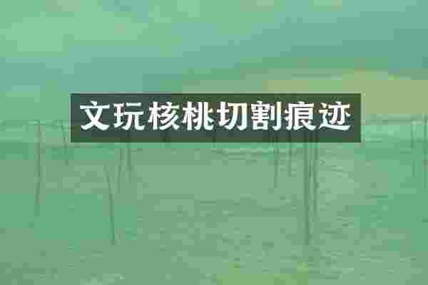 文玩核桃切割痕迹