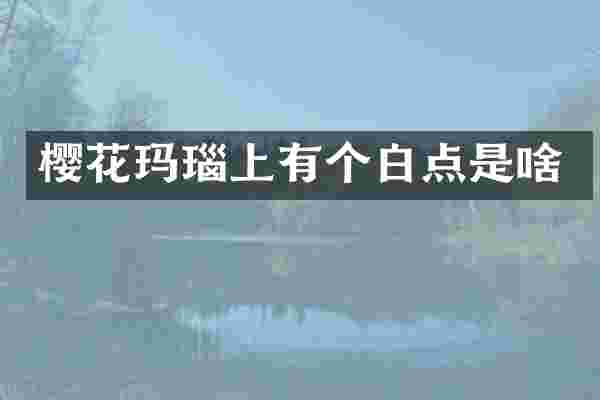 樱花玛瑙上有个白点是啥