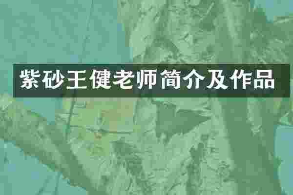 紫砂王健老师简介及作品