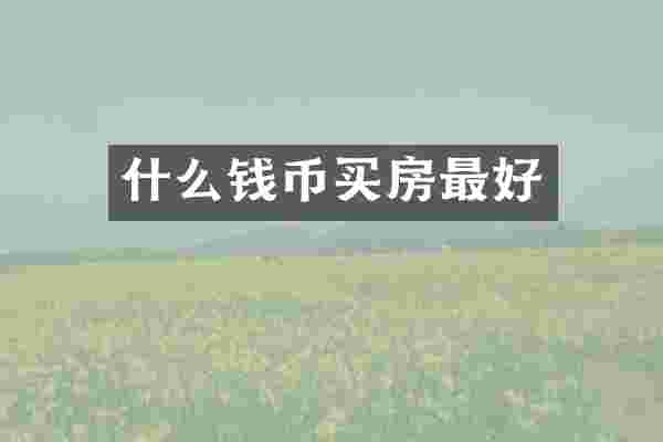 什么钱币买房最好