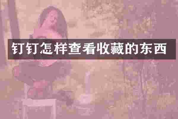 钉钉怎样查看收藏的东西