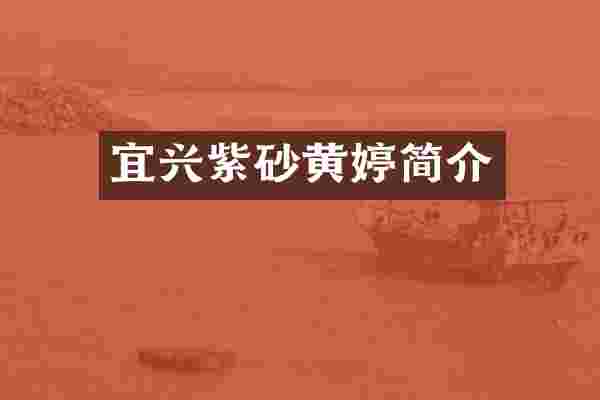 宜兴紫砂黄婷简介