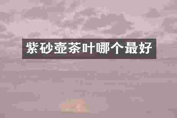 紫砂壶茶叶哪个最好