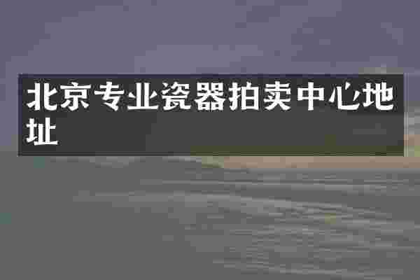 北京专业瓷器拍卖中心地址
