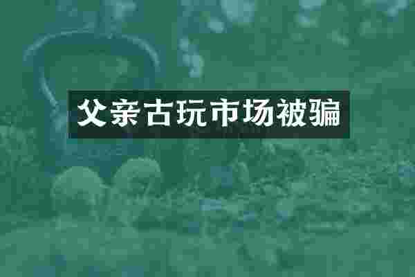 父亲古玩市场被骗