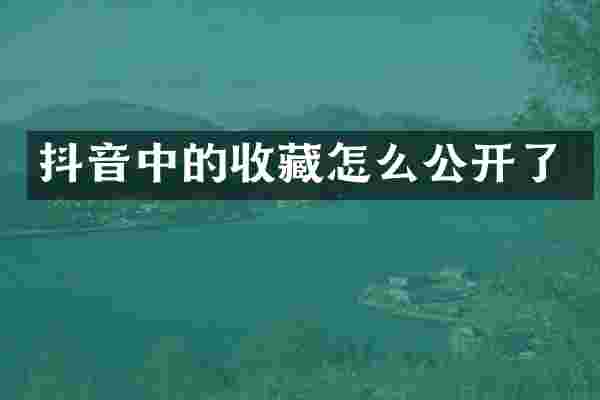 抖音中的收藏怎么公开了