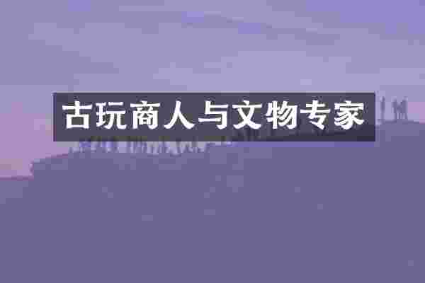 古玩商人与文物专家