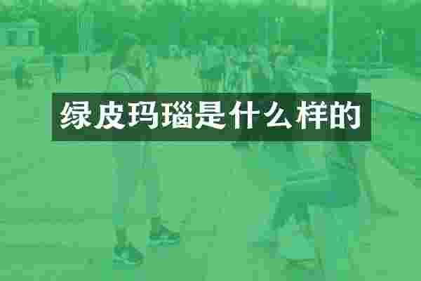 绿皮玛瑙是什么样的