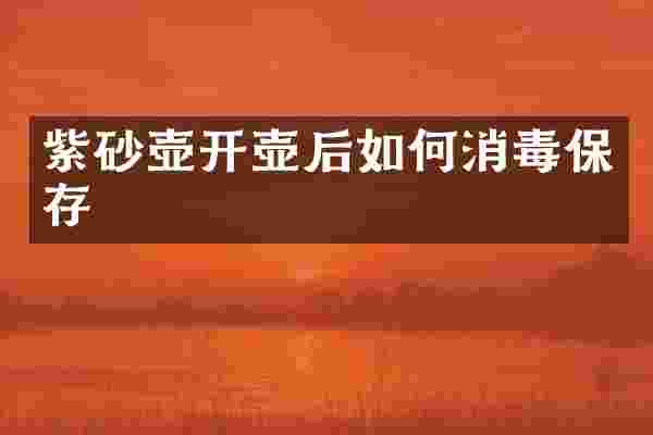 紫砂壶开壶后如何消毒保存