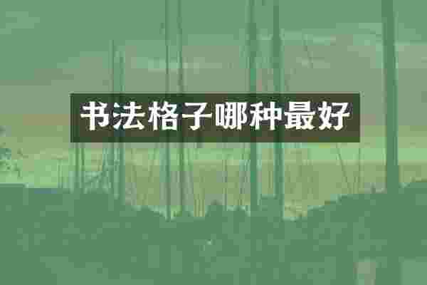 书法格子哪种最好
