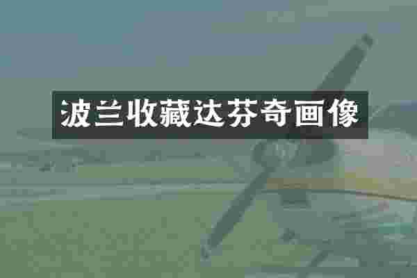 波兰收藏达芬奇画像