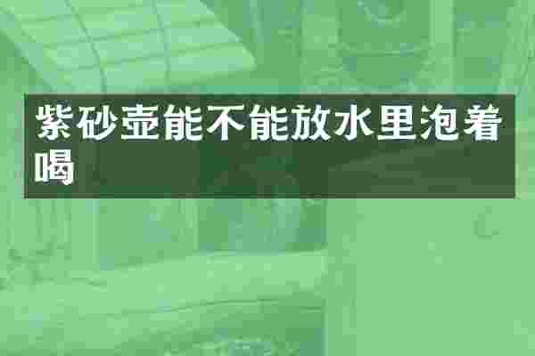 紫砂壶能不能放水里泡着喝