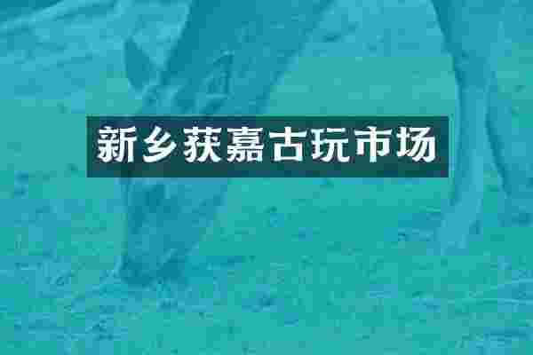 新乡获嘉古玩市场