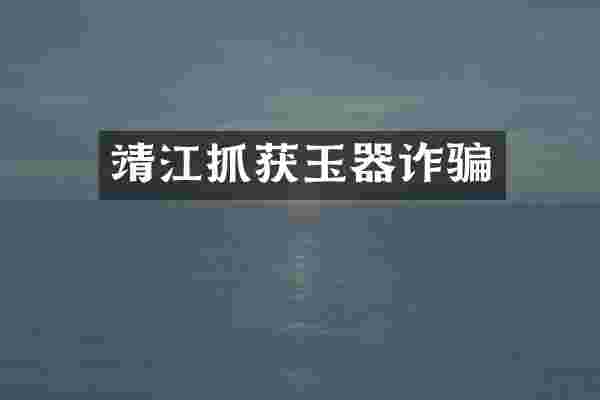 靖江抓获玉器诈骗