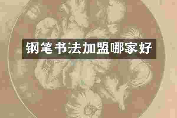 钢笔书法加盟哪家好