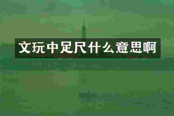 文足尺什么意思啊
