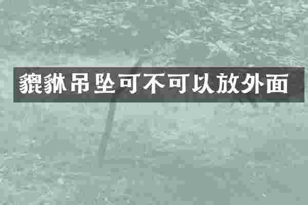貔貅吊坠可不可以放外面