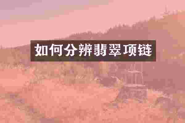 如何分辨翡翠项链