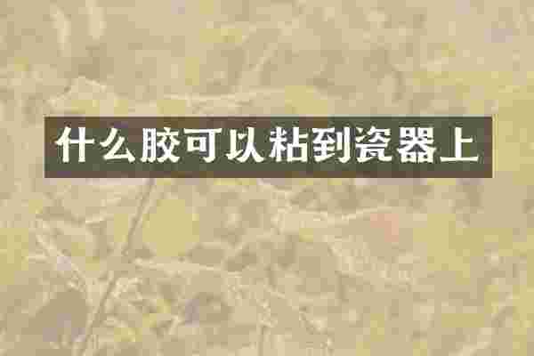 什么胶可以粘到瓷器上