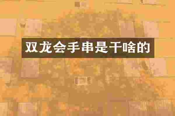 双龙会手串是干啥的