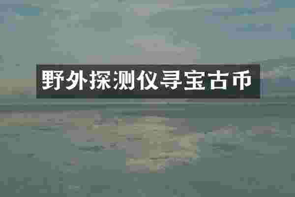 野外探测仪寻宝古币