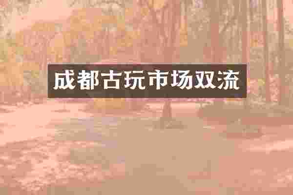 成都古玩市场双流