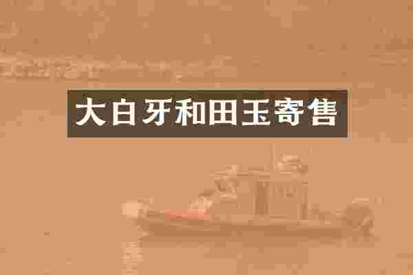 大白牙和田玉寄售