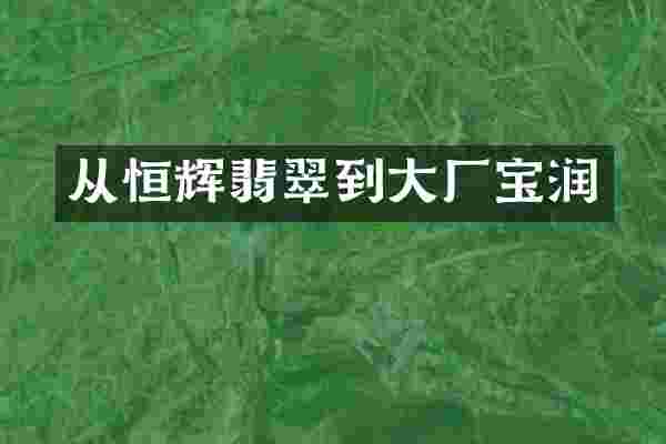 从恒辉翡翠到大厂宝润