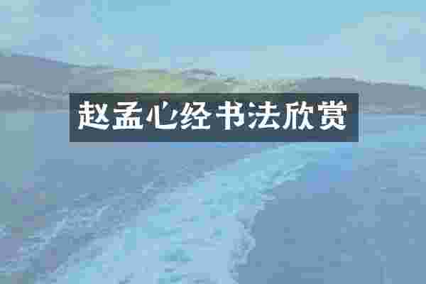 赵孟心经书法欣赏
