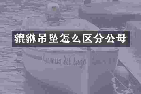 貔貅吊坠怎么区分公母