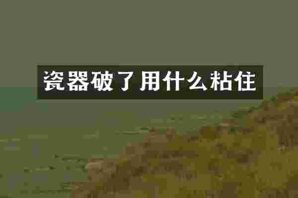 瓷器破了用什么粘住