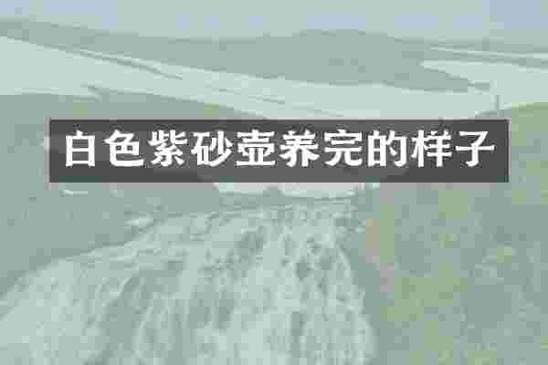 白色紫砂壶养完的样子