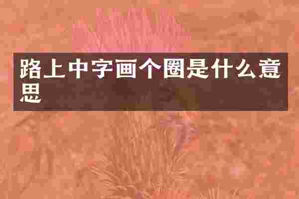 路上中字画个圈是什么意思