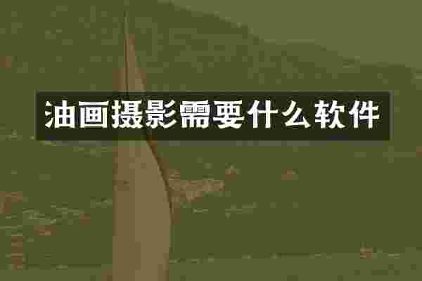 油画摄影需要什么软件