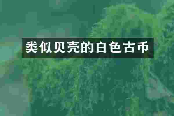 类似贝壳的白色古币