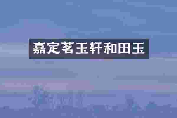 嘉定茗玉轩和田玉
