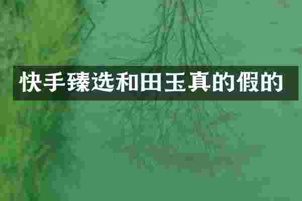 快手臻选和田玉真的假的